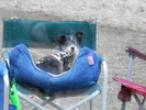 photo thumbnail #14