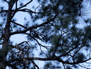 2016-02-13 :2: Silver Peak Trail #280 :: Pivo