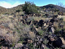 photo thumbnail #4