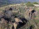 photo thumbnail #5