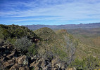 photo thumbnail #14