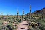 photo thumbnail #1