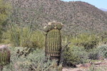 photo thumbnail #2