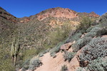 photo thumbnail #6