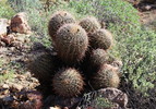 photo thumbnail #9