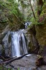 photo thumbnail #11