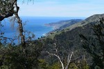 photo thumbnail #12