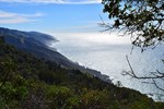 photo thumbnail #14