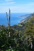photo thumbnail #15
