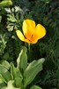 photo thumbnail #10
