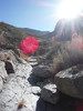 photo thumbnail #2