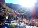 photo thumbnail #9