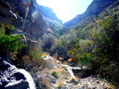 photo thumbnail #14