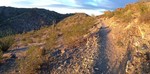 photo thumbnail #1