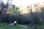 photo thumbnail #8