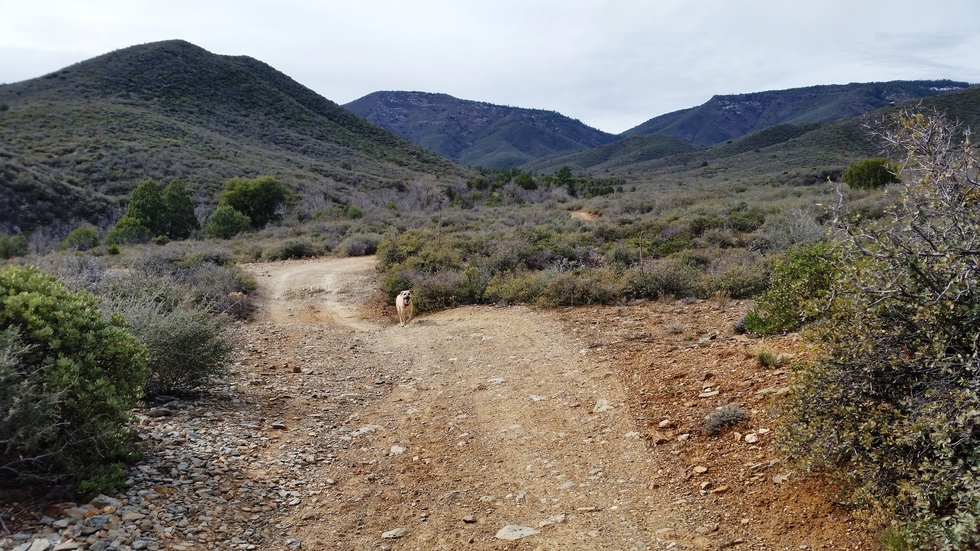 Big Bug Mesa to Grapevine Falls Photo 37 • Peter_Medal • 20160219