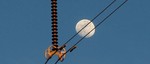 photo thumbnail #8
