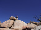 photo thumbnail #3