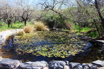 photo thumbnail #1