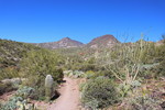 photo thumbnail #4