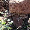 photo thumbnail #13