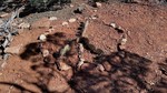 photo thumbnail #15