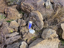 photo thumbnail #8