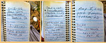 photo thumbnail #10
