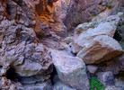 photo thumbnail #8