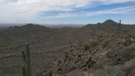 photo thumbnail #3