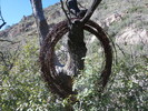 photo thumbnail #4