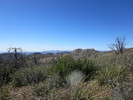 photo thumbnail #6