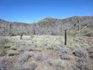 photo thumbnail #9