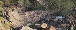 photo thumbnail #5
