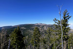 photo thumbnail #6