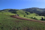photo thumbnail #2