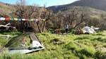 photo thumbnail #5