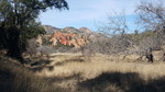 photo thumbnail #3