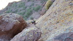 photo thumbnail #7