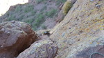 photo thumbnail #8