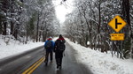 photo thumbnail #2