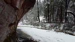 photo thumbnail #15