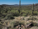 photo thumbnail #7