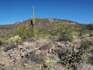 photo thumbnail #9