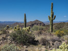 photo thumbnail #10