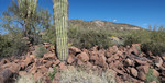 photo thumbnail #11