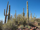 photo thumbnail #14
