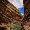photo thumbnail #2