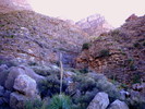 photo thumbnail #15