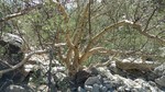 Featured Full Photo